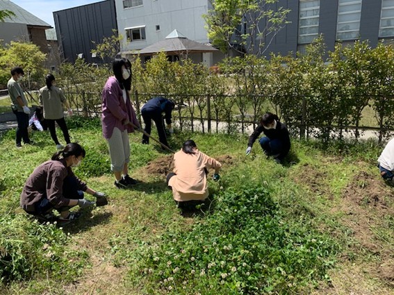 小学校理科の授業で使う植物を栽培します 子ども学科 未来は自分でつくる 中国学園大学 中国短期大学