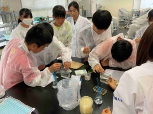 昨年度の開催の様子（細菌をグラム染色）